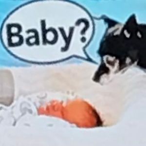 Meet your Posher, Rosie